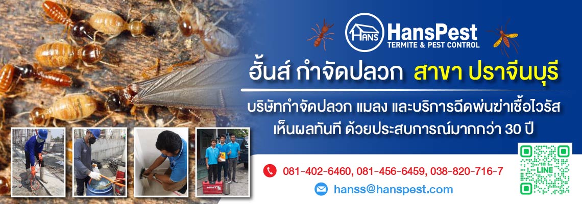 ฮั้นส์ กำจัดปลวก สาขาปราจีนบุรี